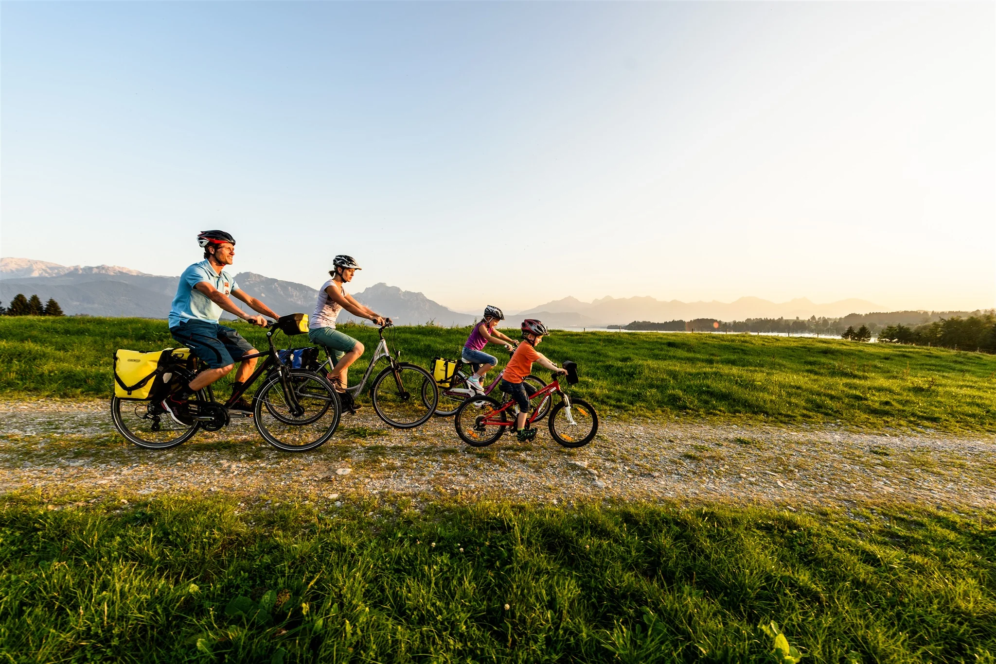 Sport-Roller Pair - Image 43